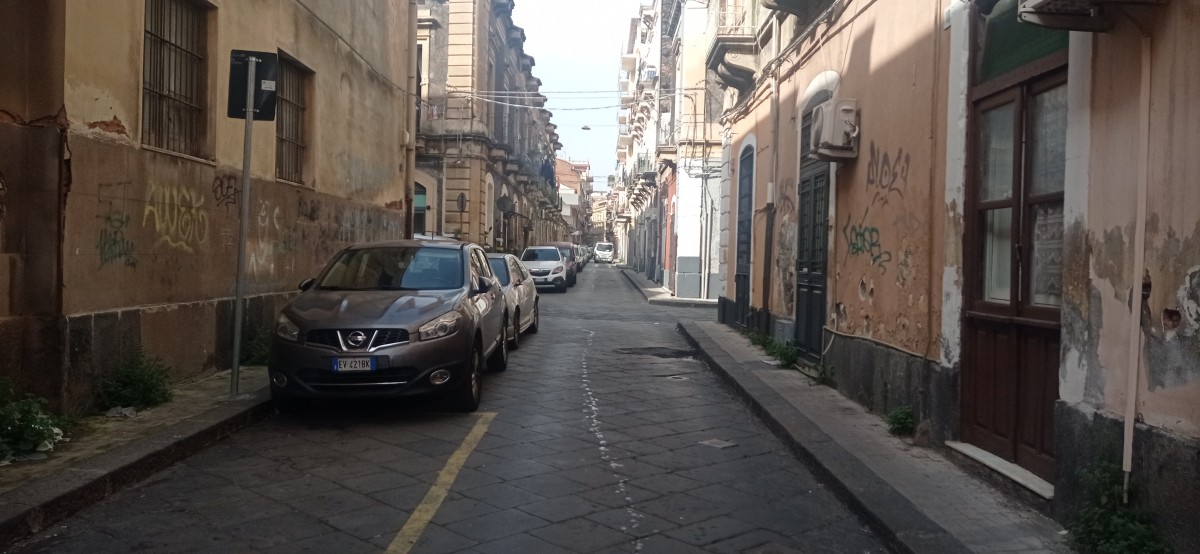 20250314_142723.jpg