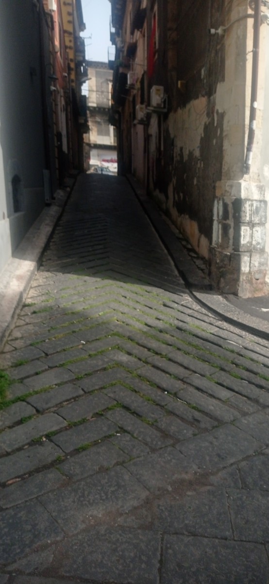 20250315_144023.jpg