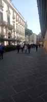 20250314_134947.jpg 20250314_134947.jpg