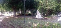 20250314_144921.jpg 20250314_144921.jpg