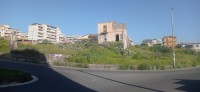 20250316_083513.jpg 20250316_083513.jpg