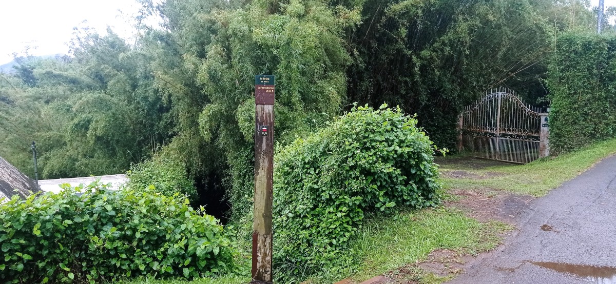 20250404_125033.jpg