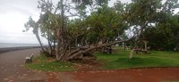 20250402_151213.jpg 20250402_151213.jpg