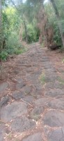 20250403_095016.jpg 20250403_095016.jpg
