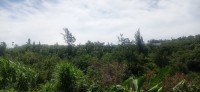 20250403_120456.jpg 20250403_120456.jpg