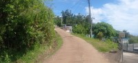20250403_120501.jpg 20250403_120501.jpg