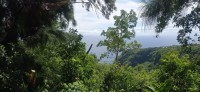 20250403_121049.jpg 20250403_121049.jpg