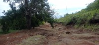 20250403_121631.jpg 20250403_121631.jpg