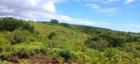 20250403_121834.jpg 20250403_121834.jpg
