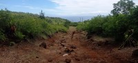 20250403_122029.jpg 20250403_122029.jpg