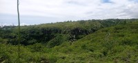 20250403_122309.jpg 20250403_122309.jpg