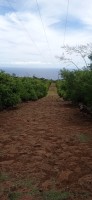 20250403_122603.jpg 20250403_122603.jpg