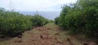 20250403_122842.jpg 20250403_122842.jpg