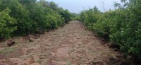 20250403_123001.jpg 20250403_123001.jpg