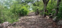 20250403_130150.jpg 20250403_130150.jpg
