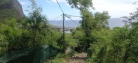 20250403_130518.jpg 20250403_130518.jpg