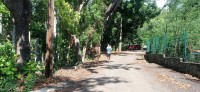 20250404_103326.jpg 20250404_103326.jpg