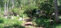 20250404_103513.jpg 20250404_103513.jpg