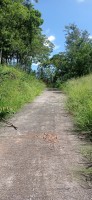 20250404_110516.jpg 20250404_110516.jpg