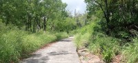 20250404_110601.jpg 20250404_110601.jpg