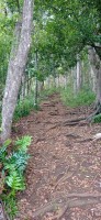 20250404_120914.jpg 20250404_120914.jpg