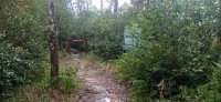 20250404_124117.jpg 20250404_124117.jpg