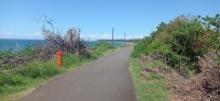 20250406_124433.jpg 20250406_124433.jpg