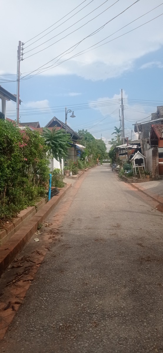 20250418_143309.jpg
