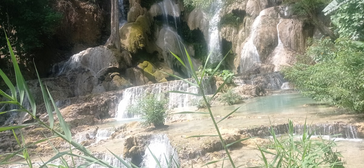 20250419_103706.jpg
