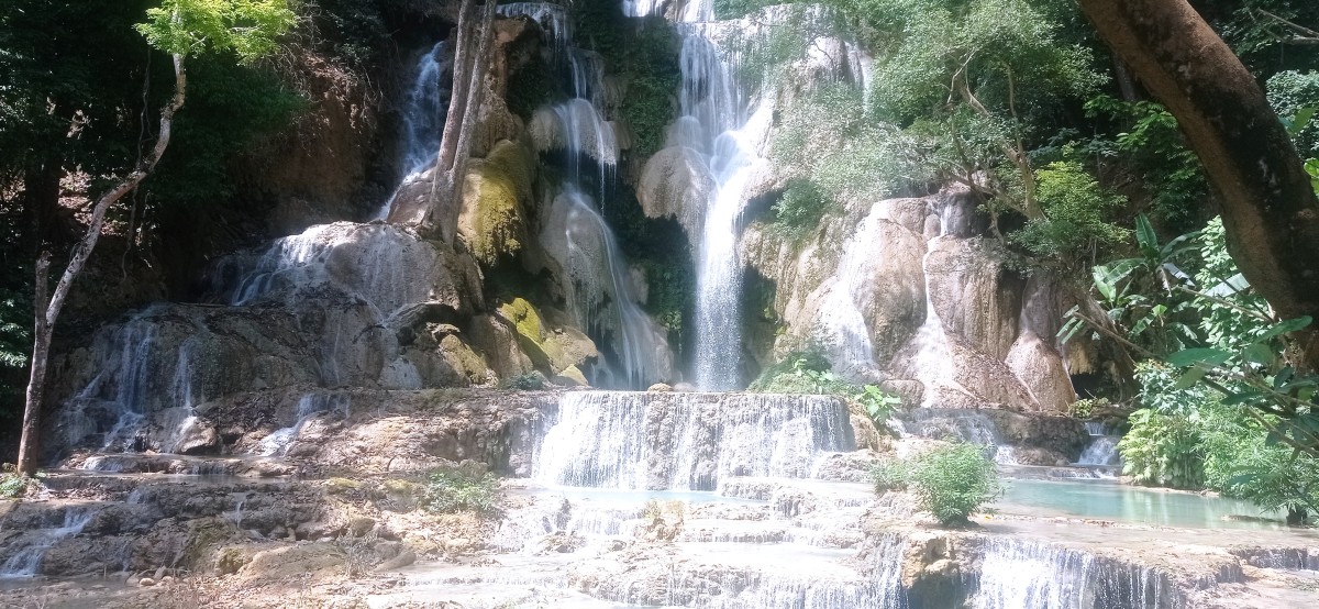 20250419_103735.jpg