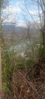 20250418_140447.jpg 20250418_140447.jpg