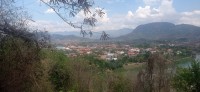 20250418_140549.jpg 20250418_140549.jpg