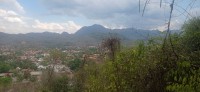 20250418_140552.jpg 20250418_140552.jpg