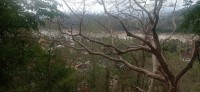20250418_141353.jpg 20250418_141353.jpg