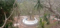 20250418_141543.jpg 20250418_141543.jpg