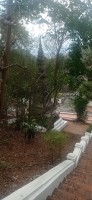 20250418_141752.jpg 20250418_141752.jpg