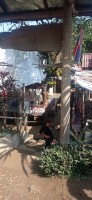 20250419_092000.jpg 20250419_092000.jpg