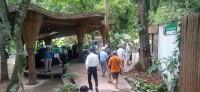 20250419_101732.jpg 20250419_101732.jpg