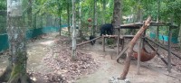 20250419_102103.jpg 20250419_102103.jpg