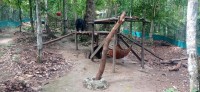 20250419_102109.jpg 20250419_102109.jpg