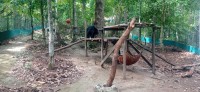 20250419_102112.jpg 20250419_102112.jpg