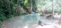 20250419_103107.jpg 20250419_103107.jpg