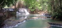 20250419_103227.jpg 20250419_103227.jpg