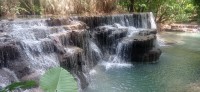 20250419_103319.jpg 20250419_103319.jpg
