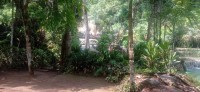 20250419_103445.jpg 20250419_103445.jpg
