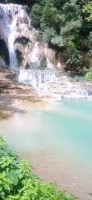 20250419_103603.jpg 20250419_103603.jpg