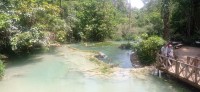 20250419_103624.jpg 20250419_103624.jpg