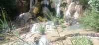 20250419_103706.jpg 20250419_103706.jpg