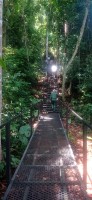20250419_104300.jpg 20250419_104300.jpg
