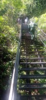 20250419_104502.jpg 20250419_104502.jpg